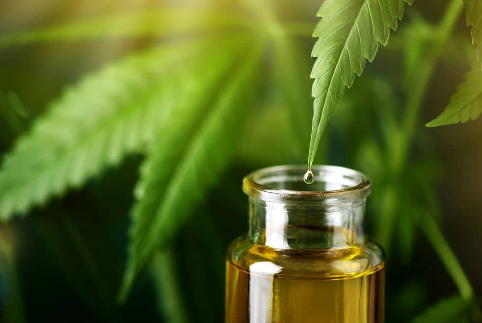 THC und CBD sind natürliche Bestandteile der Cannabispflanze.