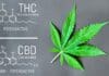 Wann kann THC Körper und Psyche helfen?