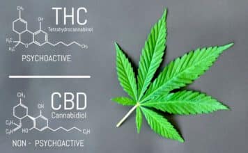 Wann kann THC Körper und Psyche helfen?