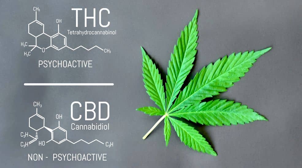 Wann kann THC Körper und Psyche helfen?