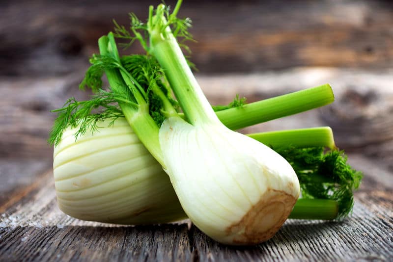 Fenchel wirkt krampflösend und kann bei Blähungen und Magenbeschwerden Erleichterung bringen. 