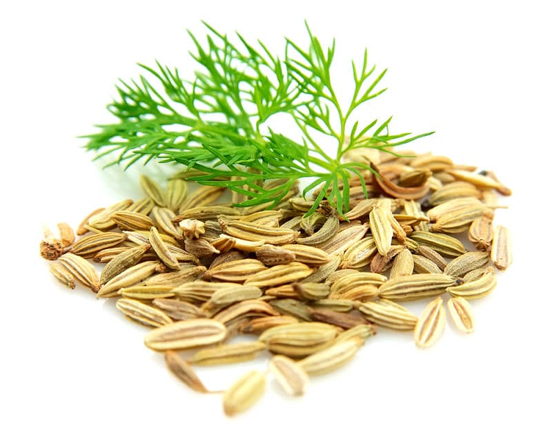 Fenchel Samen nimmt man traditionell für Tee. Er lässt sich aber auch als Gewürz verwenden.