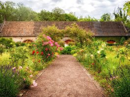 Ordnung halten im Kräutergarten