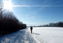 Sonne liefert uns Vitamin D auch im Winter.