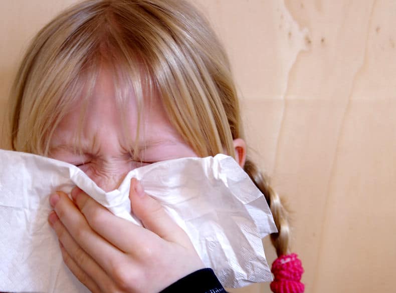 Eine Allergische Reaktion zeigt sich oft in plötzlichen Anfällen von Niesen