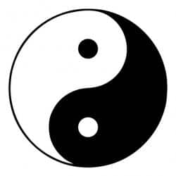 Yin und Yang in der traditionellen chinesischen Medizin