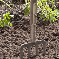 Selbstversorger werden heißt viel Arbeit im Garten