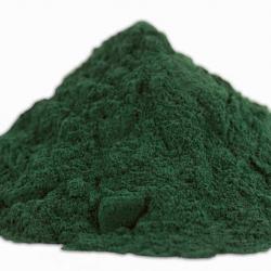 Spirulina - Blaubakterien - getrocknet und zu Pulver zermahlen