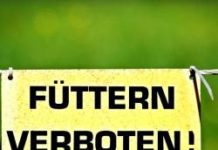 Fastenzeit - Füttern verboten