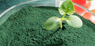 Die Wirkung von Spirulina ist noch nicht ausreichend erforscht. Auf jeden Fall wirkt Spirulina entgiftend und nährend.